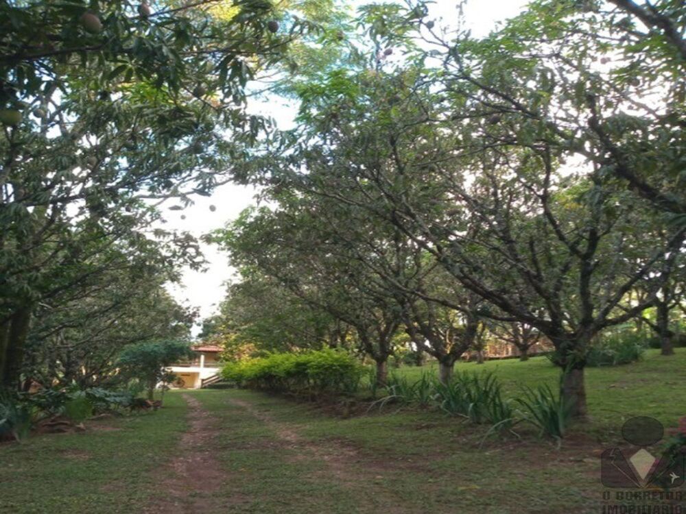Sítio à venda com 3 quartos, 20000m² - Foto 3