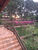 Sítio, 3 quartos, 2 hectares - Foto 4