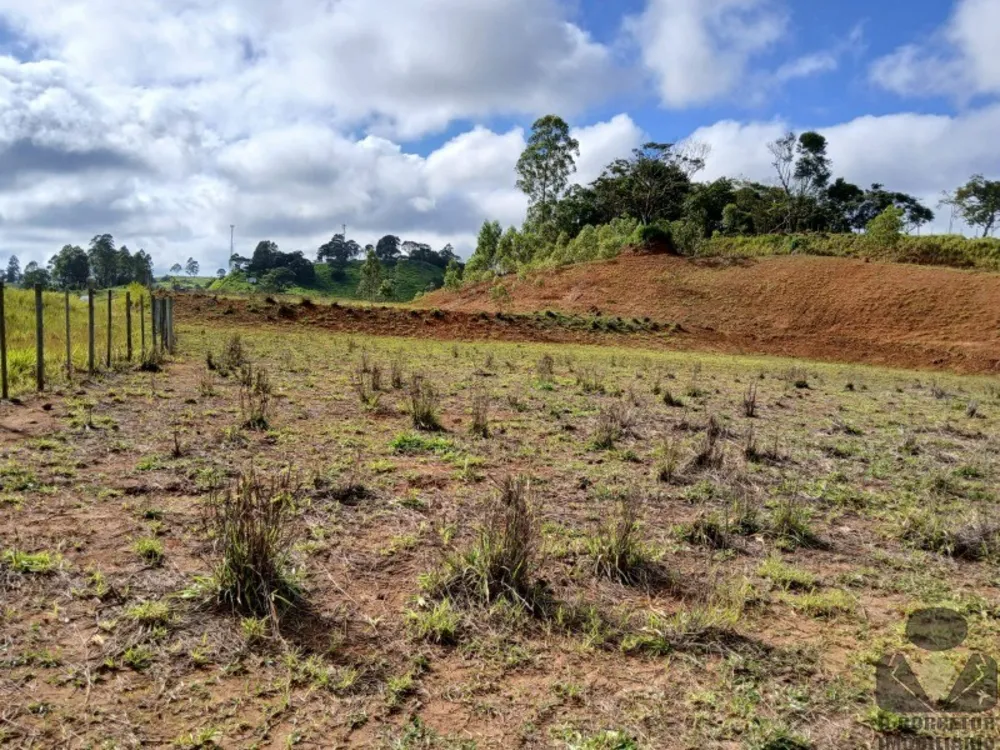 Terreno, 12 hectares - Foto 3