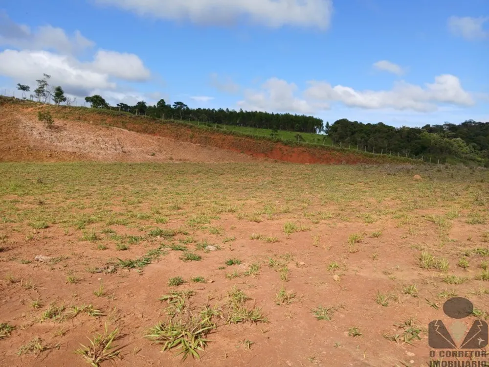 Terreno, 12 hectares - Foto 7