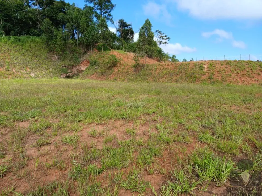 Terreno, 12 hectares - Foto 11