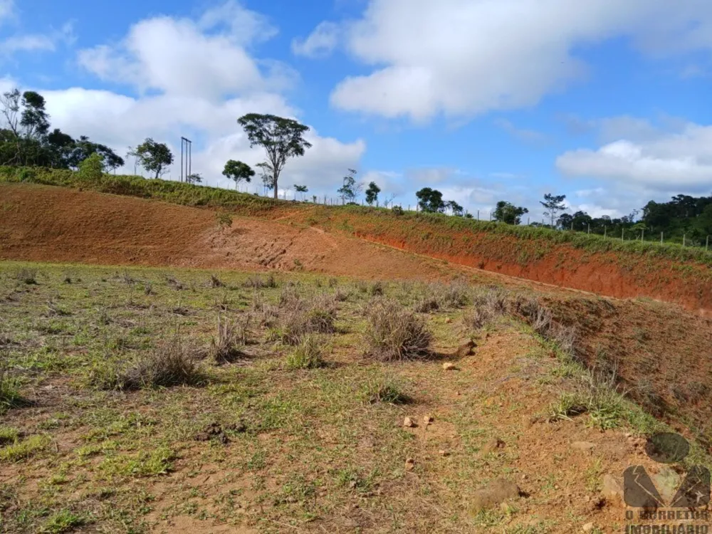 Terreno, 12 hectares - Foto 14