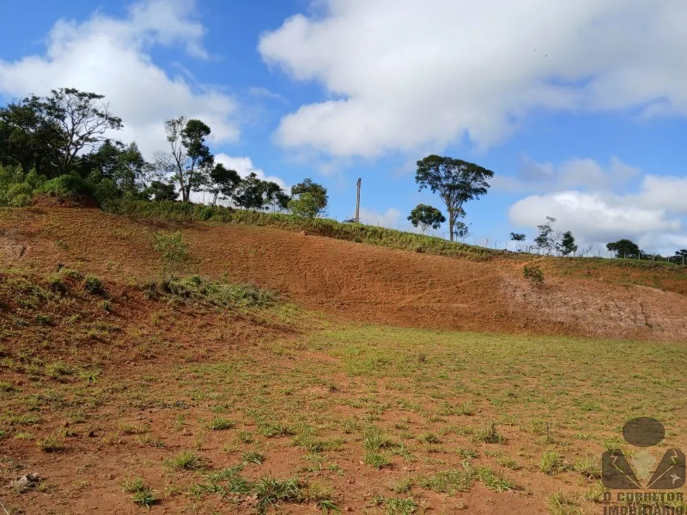 Terreno, 12 hectares - Foto 4