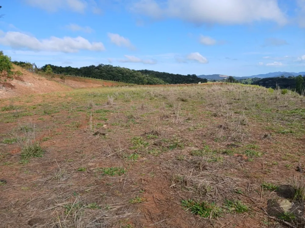Terreno, 12 hectares - Foto 16