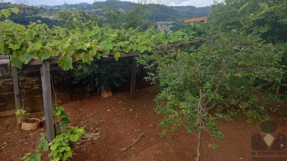 Casa, 4 quartos, 392 m² - Foto 11