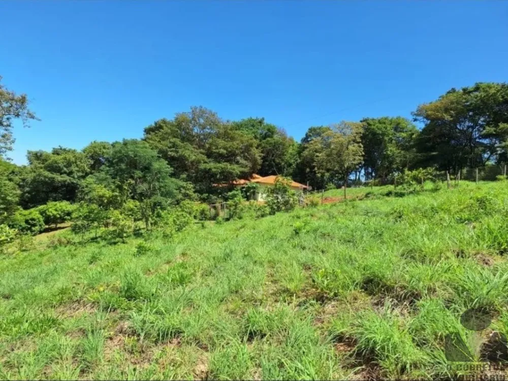 Sítio, 3 quartos, 2 hectares - Foto 4