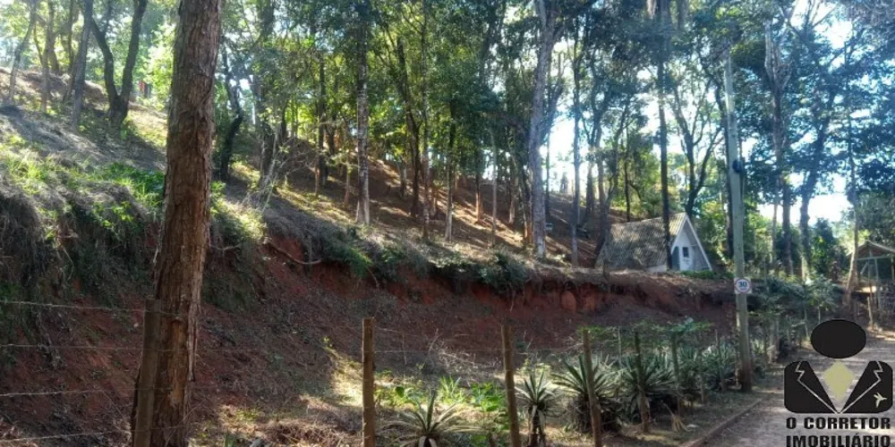Chácara, 2 quartos, 9000 m² - Foto 6