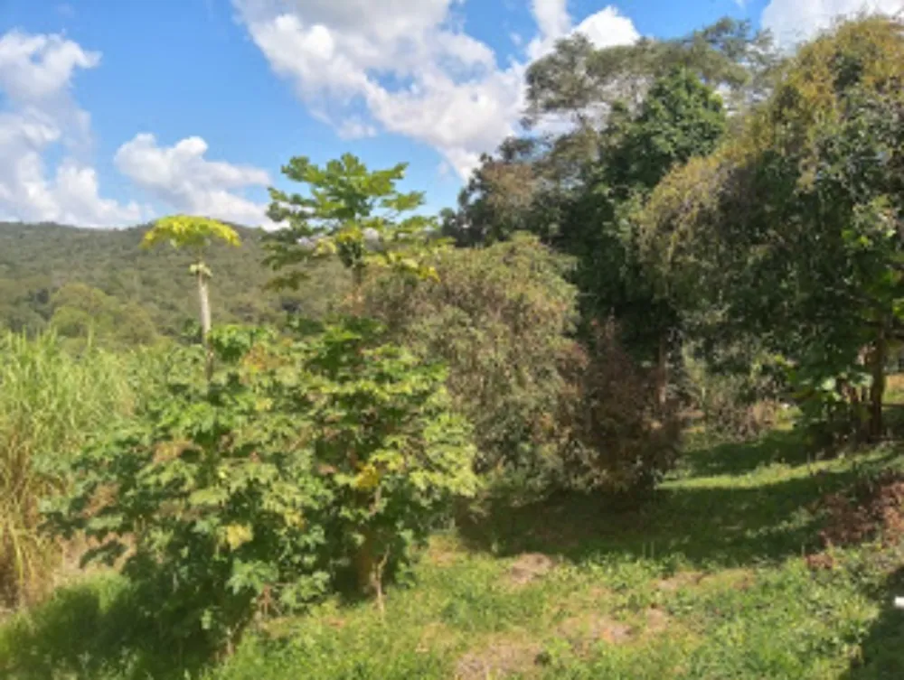 Chácara, 2 quartos, 9000 m² - Foto 3