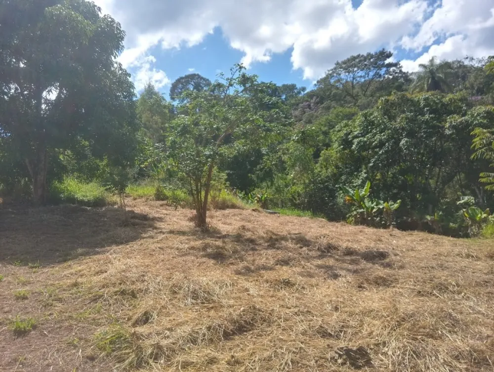 Chácara, 2 quartos, 9000 m² - Foto 2