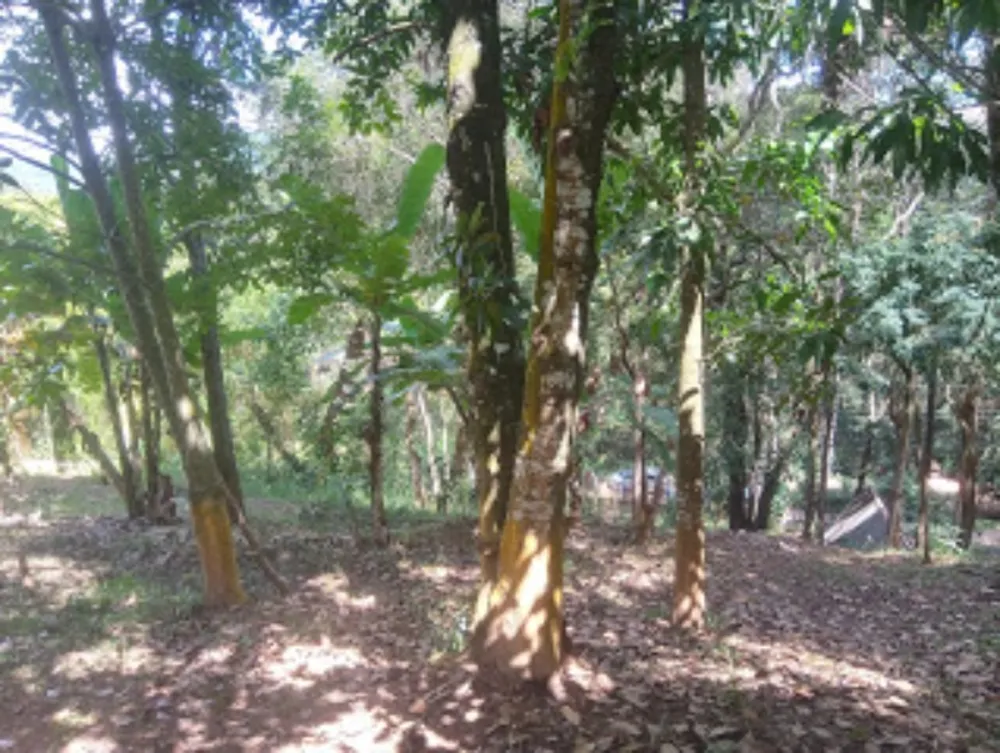 Chácara, 2 quartos, 9000 m² - Foto 5