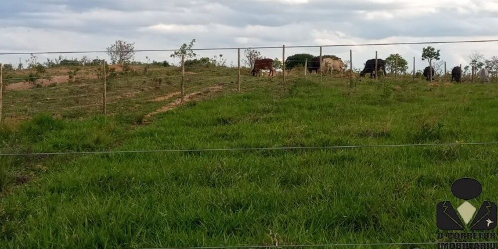 Chácara, 2 hectares - Foto 3