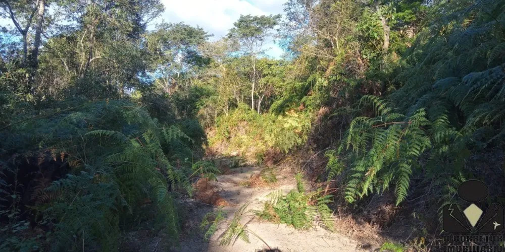 Chácara, 2 hectares - Foto 3