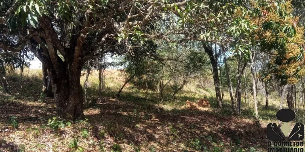 Chácara, 2 hectares - Foto 8