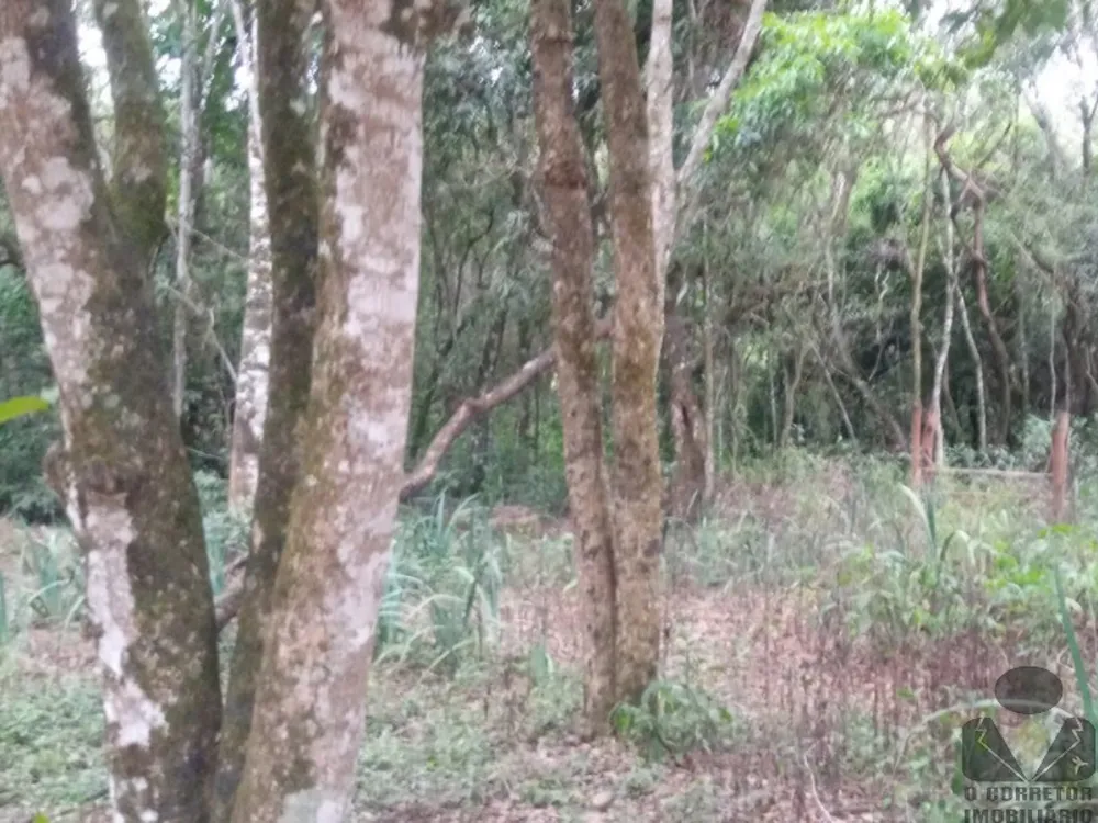 Chácara, 2 hectares - Foto 4