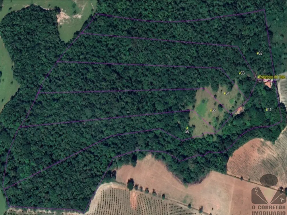 Chácara, 2 hectares - Foto 8