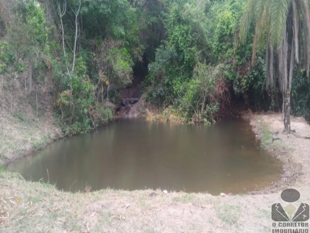 Fazenda, 2 hectares - Foto 11