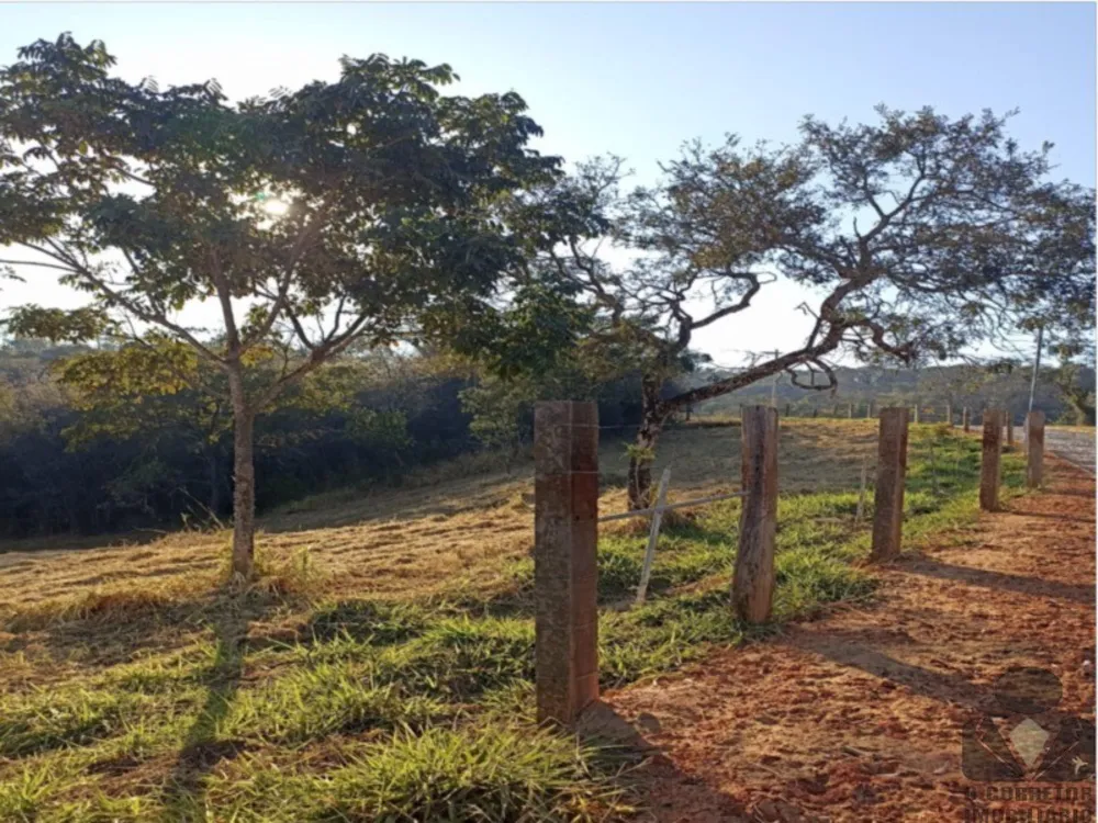 Fazenda, 2 hectares - Foto 8