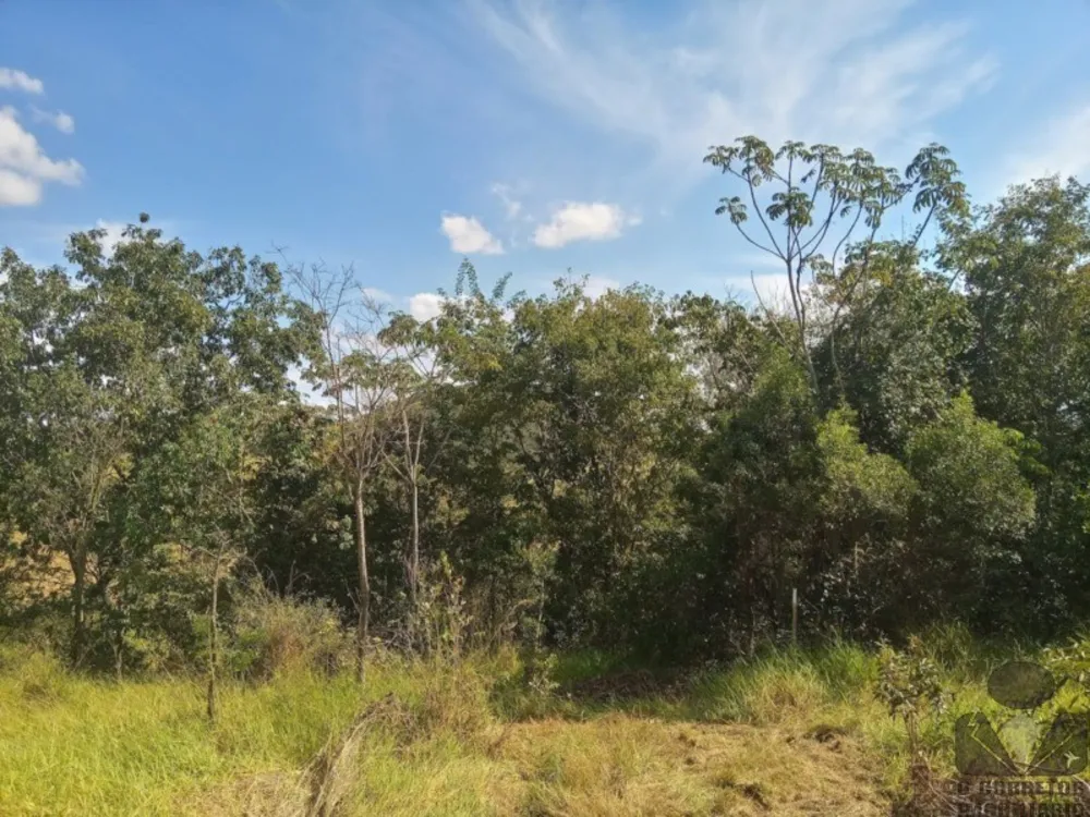 Fazenda, 2 hectares - Foto 3