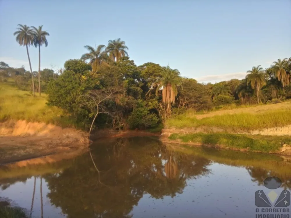 Fazenda, 2 hectares - Foto 15
