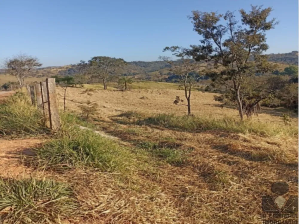 Fazenda, 2 hectares - Foto 7