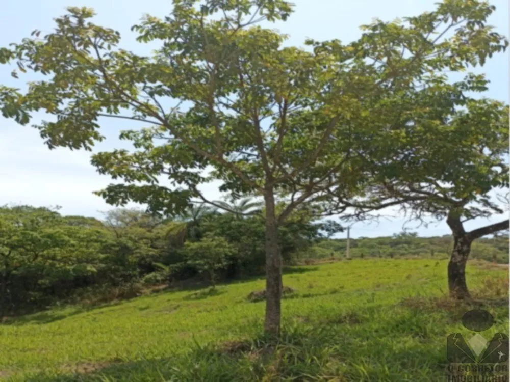 Fazenda, 2 hectares - Foto 4