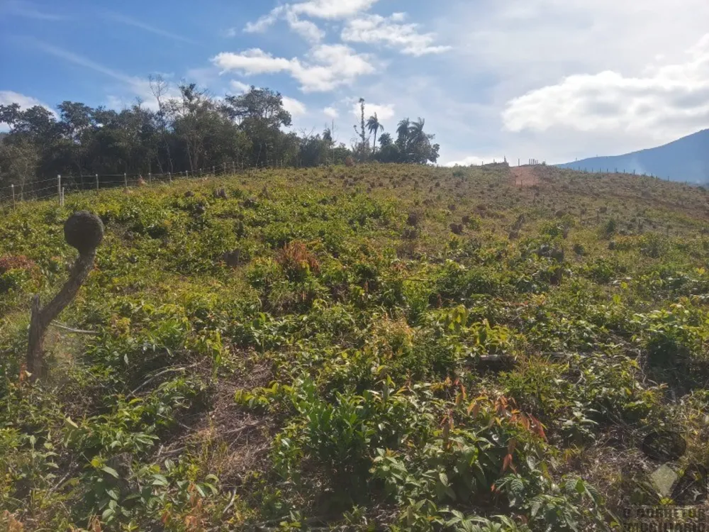 Chácara, 5169 m² - Foto 9