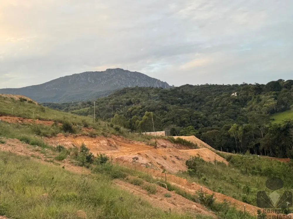 Chácara, 5169 m² - Foto 6