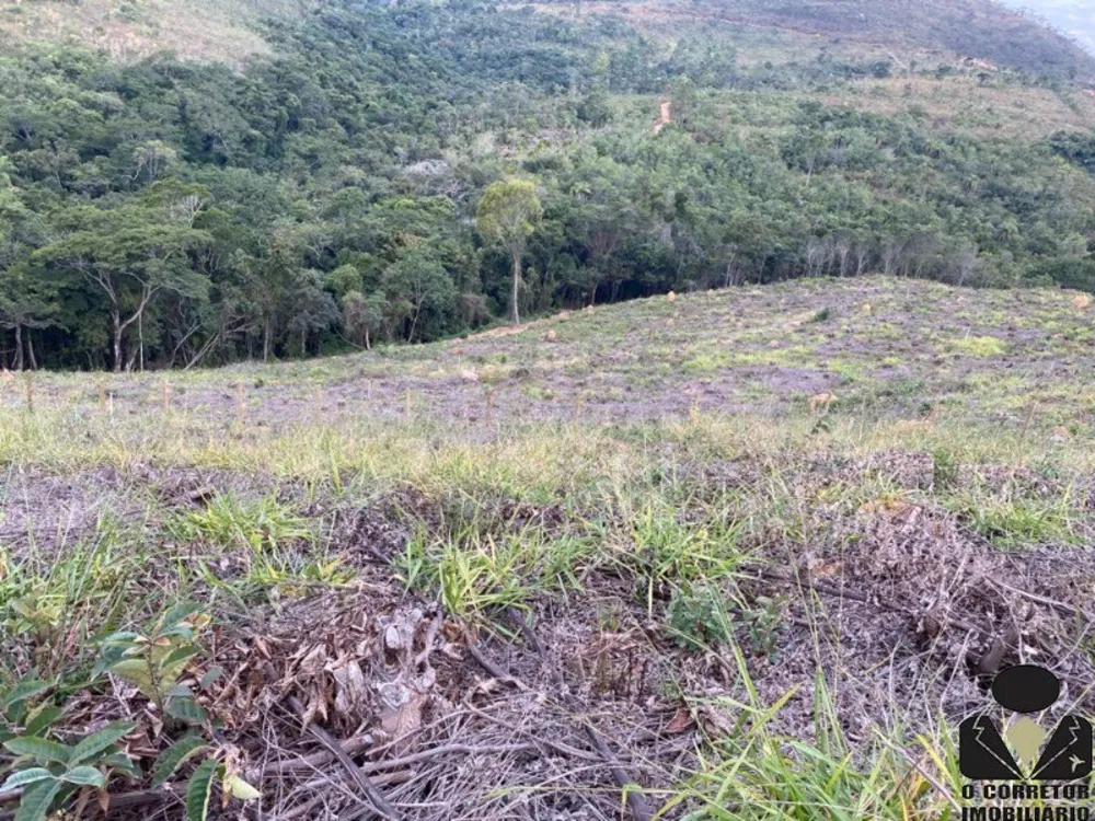 Chácara, 5169 m² - Foto 10