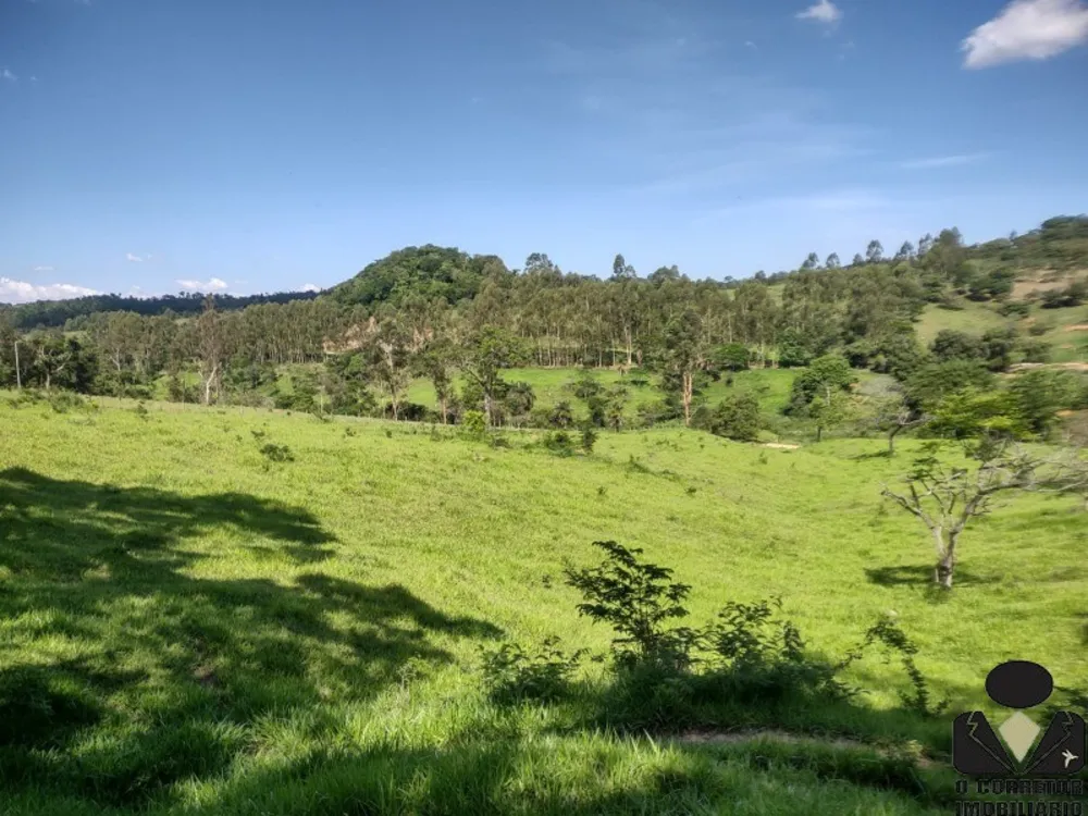 Chácara, 2 hectares - Foto 11