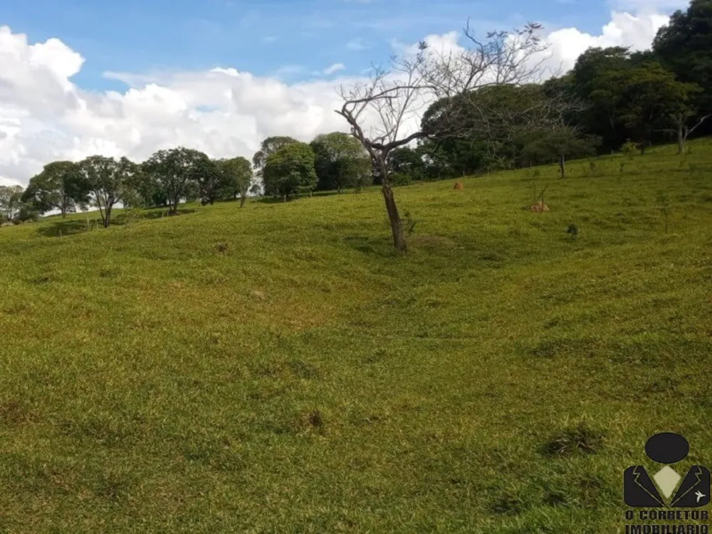 Chácara, 2 hectares - Foto 12