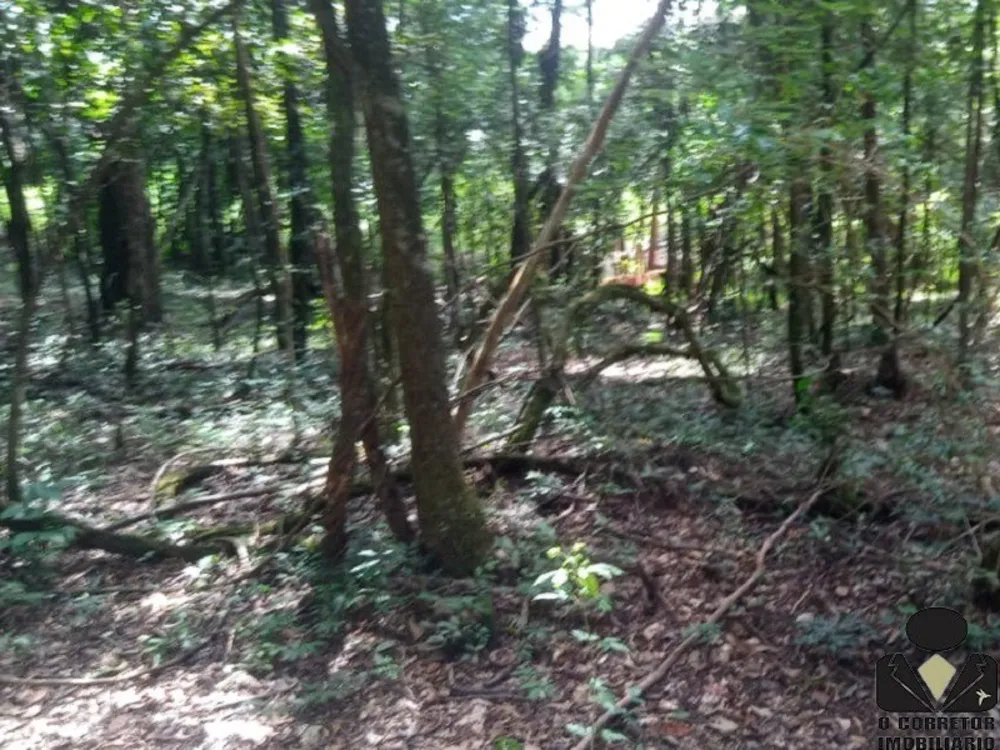 Chácara, 2 hectares - Foto 15