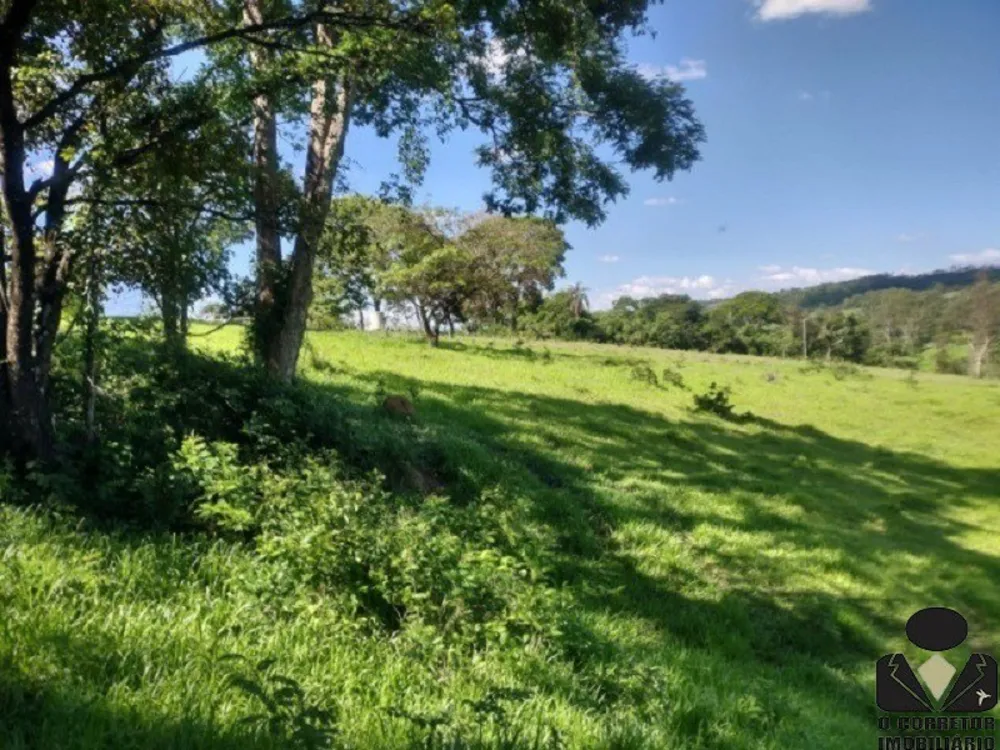 Chácara, 2 hectares - Foto 1