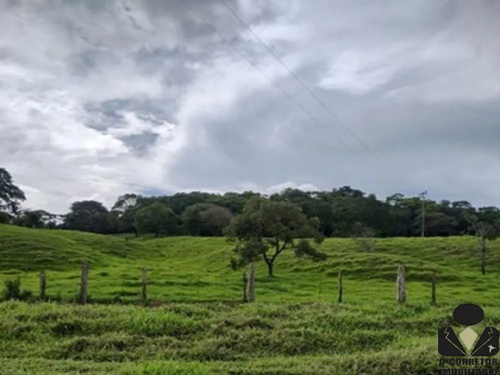 Chácara, 2 hectares - Foto 2