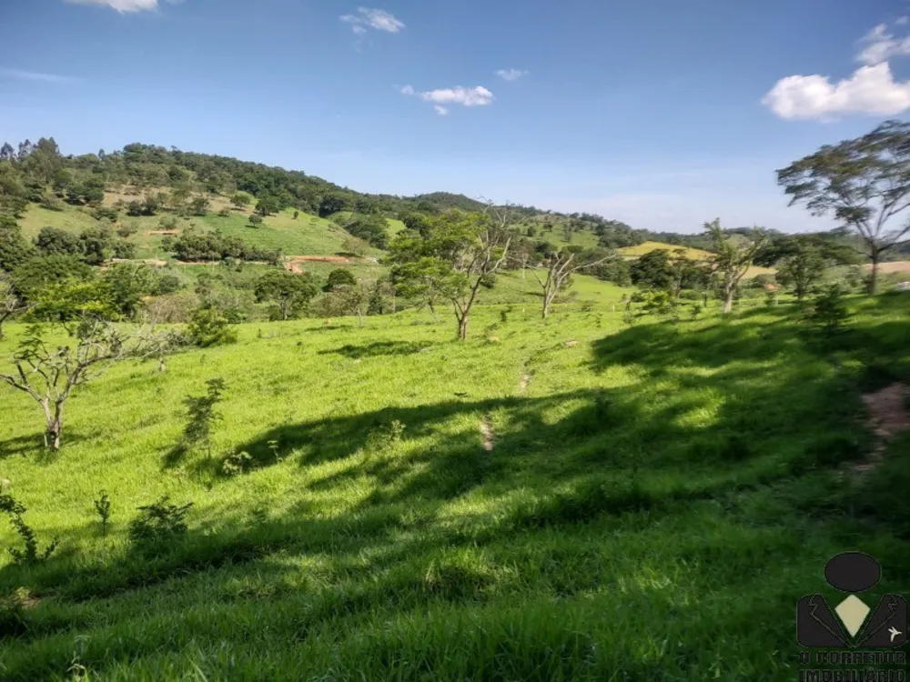 Chácara, 2 hectares - Foto 9