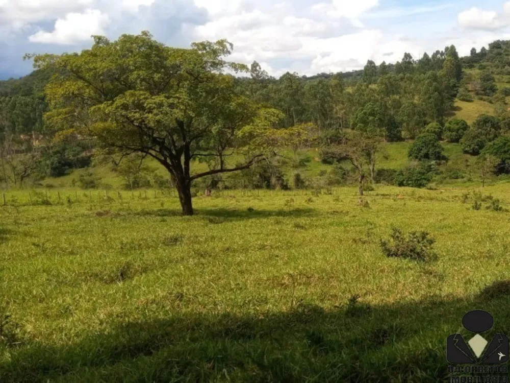 Chácara, 2 hectares - Foto 13