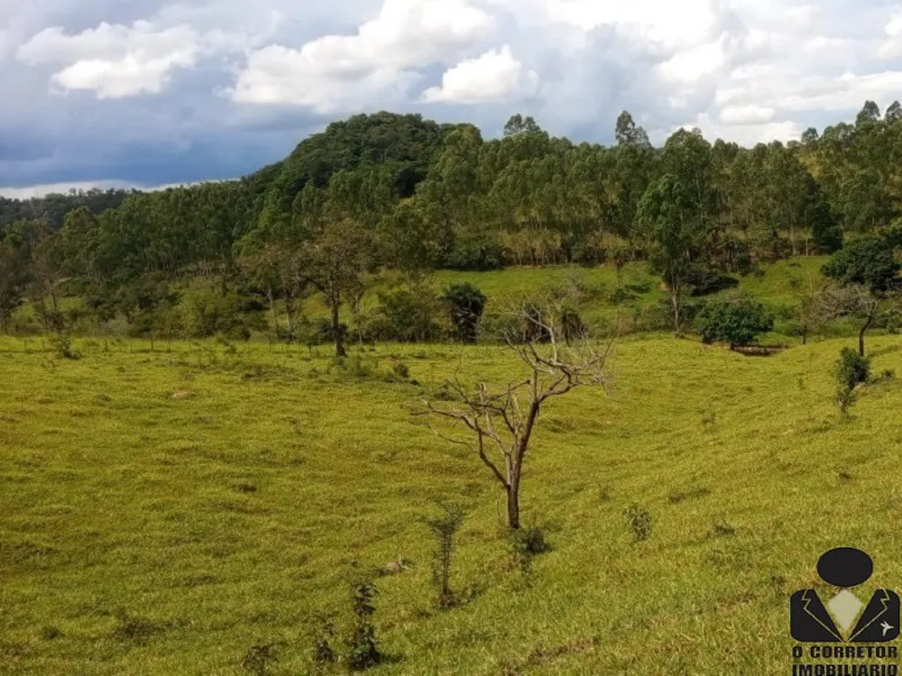 Chácara, 2 hectares - Foto 14
