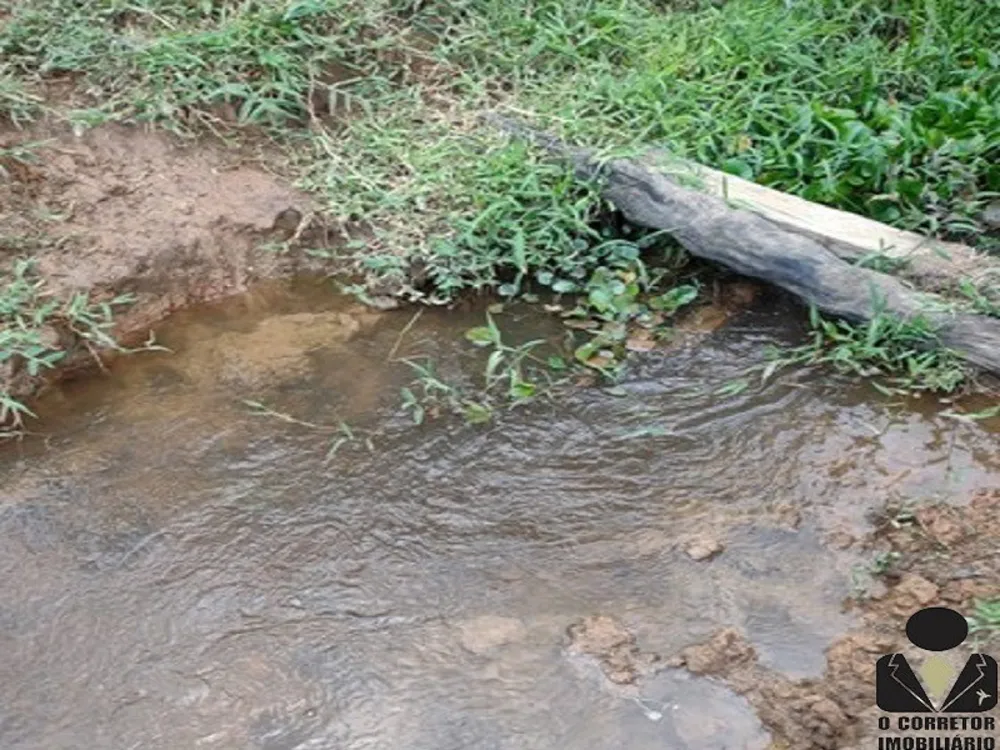 Chácara, 2 hectares - Foto 4