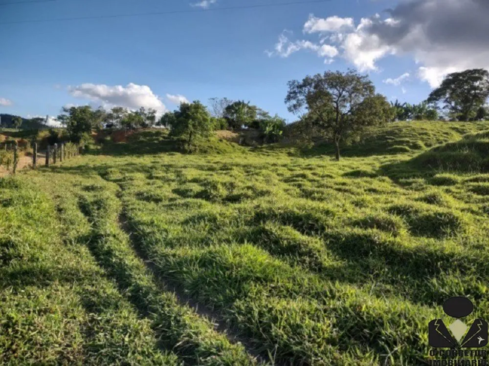 Chácara, 2 hectares - Foto 6
