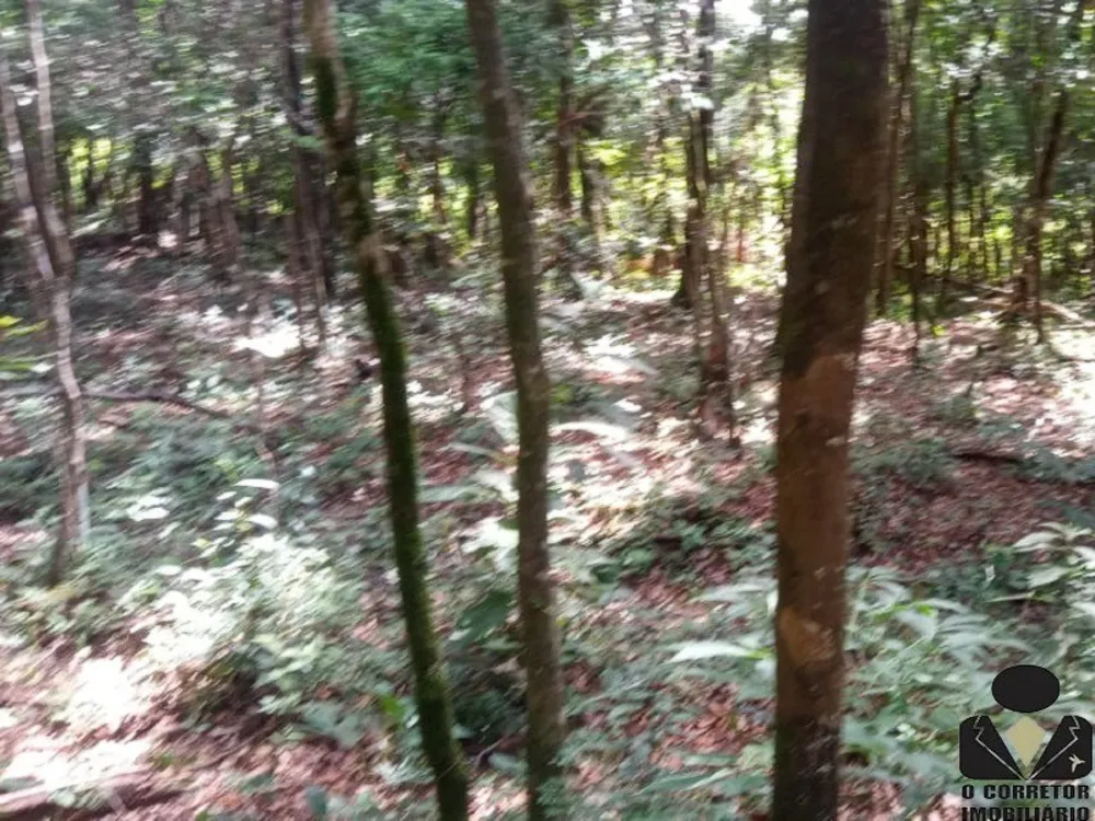 Chácara, 2 hectares - Foto 16