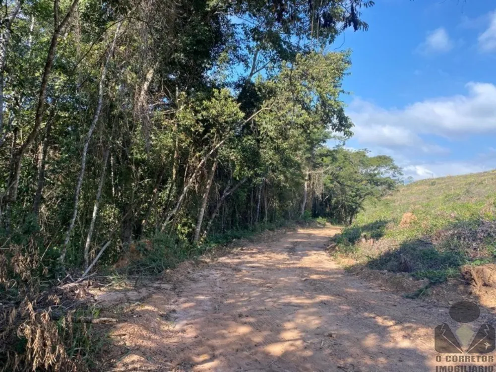 Chácara, 2 hectares - Foto 3