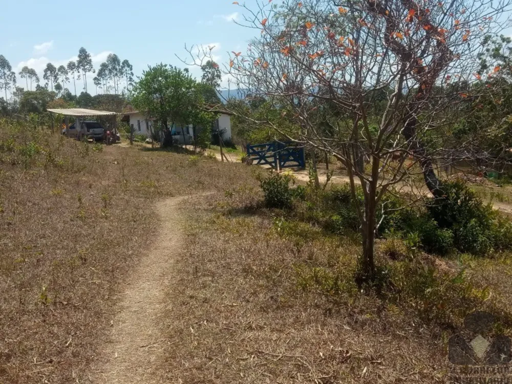 Sítio, 5 quartos, 4 hectares - Foto 4