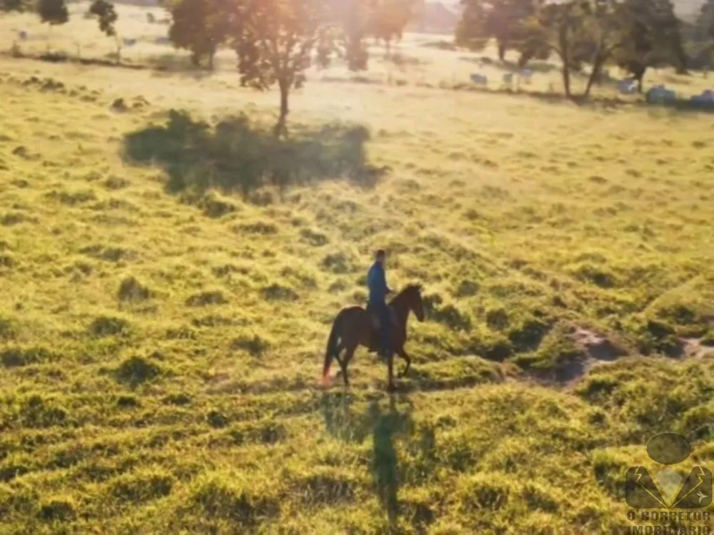 Fazenda, 2 hectares - Foto 4