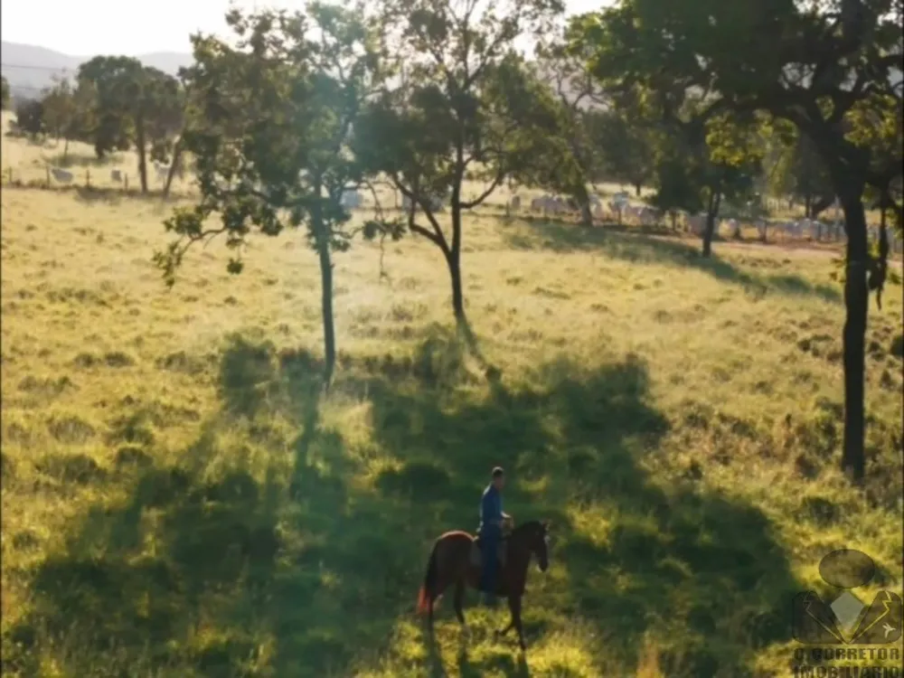 Fazenda, 2 hectares - Foto 14
