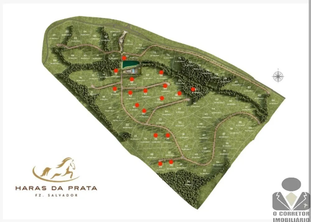 Fazenda, 2 hectares - Foto 16