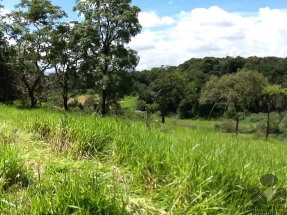 Terreno, 8 hectares - Foto 13