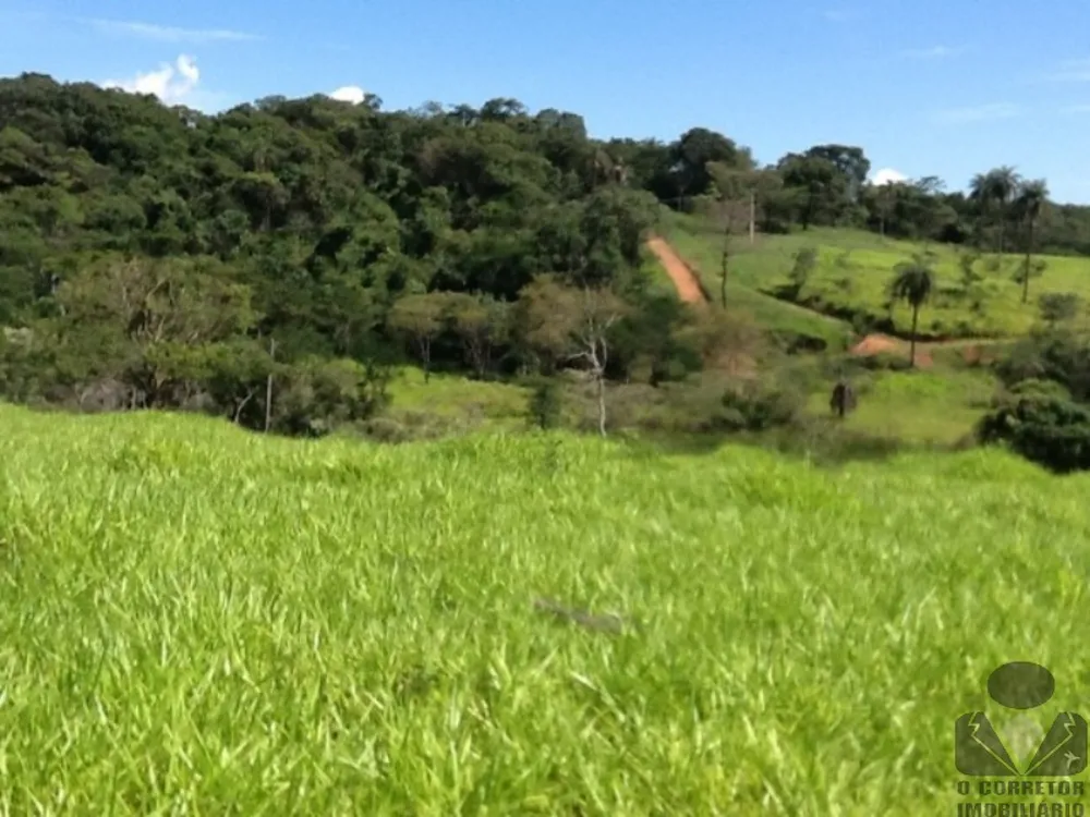 Terreno, 8 hectares - Foto 4
