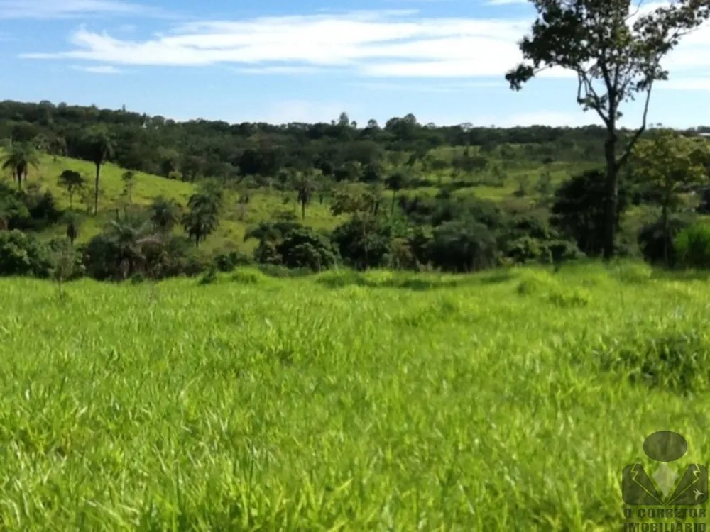 Terreno, 8 hectares - Foto 3