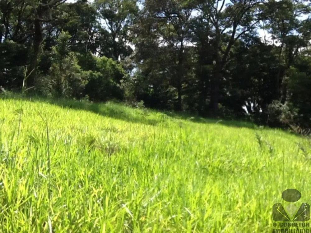 Terreno, 8 hectares - Foto 11