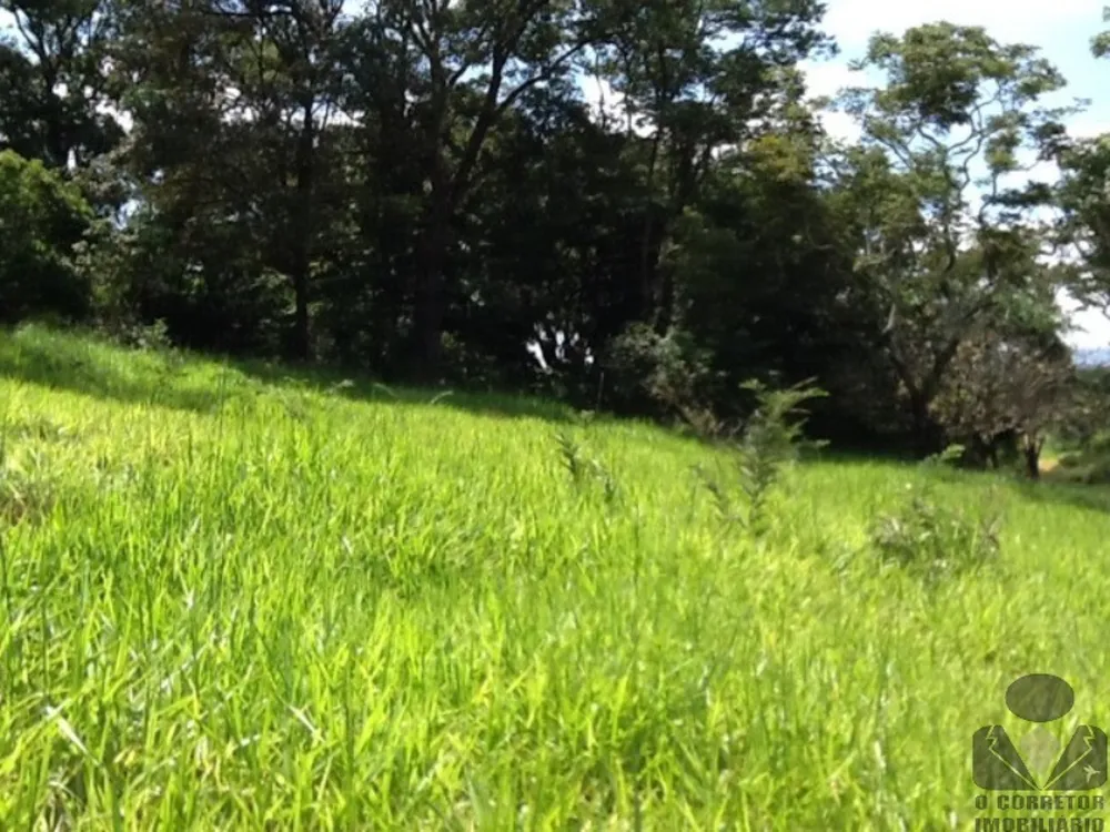 Terreno, 8 hectares - Foto 10
