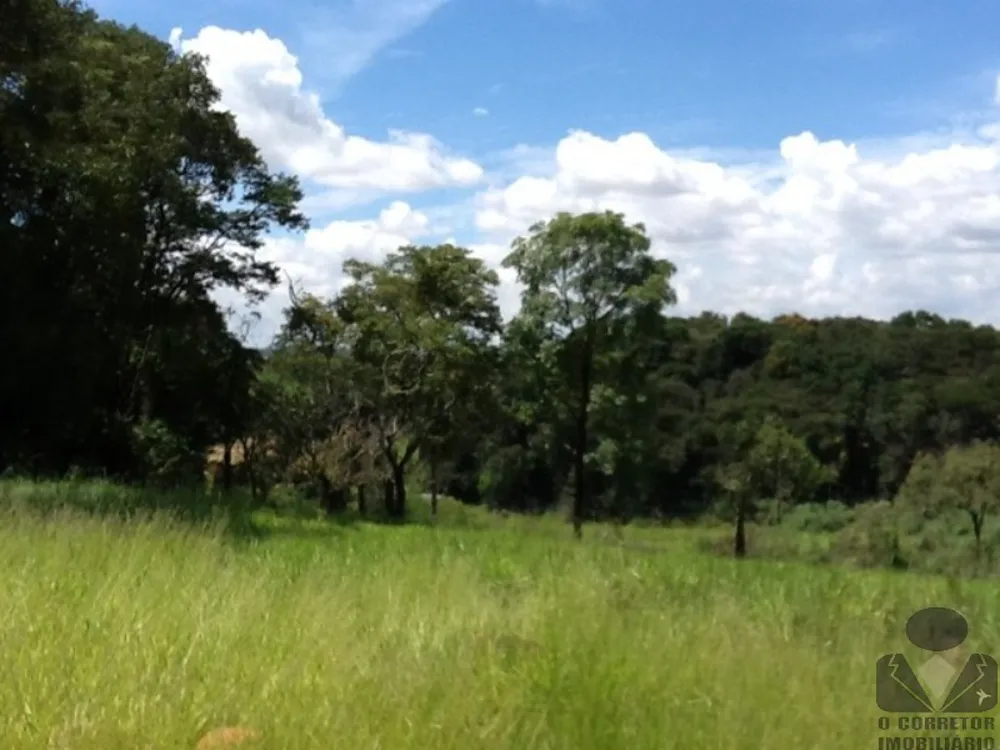 Terreno, 8 hectares - Foto 8